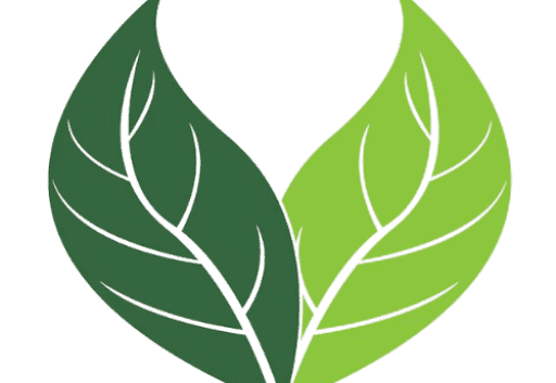 BackSupplements Logo